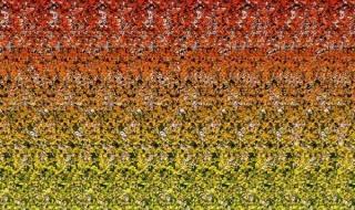 三维立体图如何去看 三维立体图怎么看